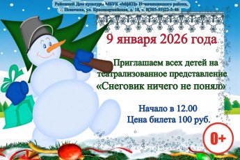 "Снеговик ничего не понял"