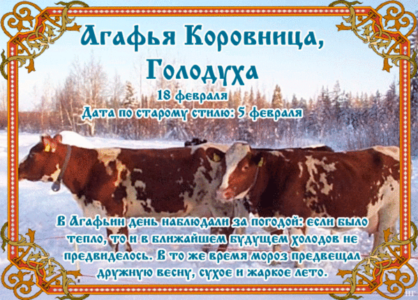 Календарные традиции русского народа "Русская земля и в горсти мила" 18 февраля "Агафья-Коровница"